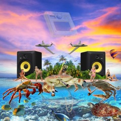 HAPPY FREQUENCE - CRABBY LIFE CHOSE US