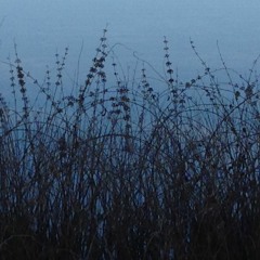 I Can Only Blame Myself