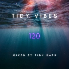 Tidy Vibes 120