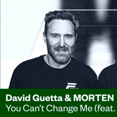 David Guetta & Morten - You Can’t Change Me (Sheriffz Remix)