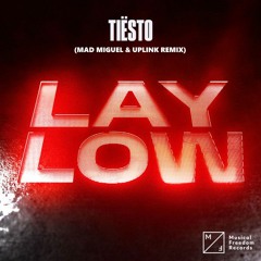 Tiesto - Lay Low (Mad Miguel & Uplink Remix)