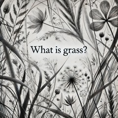 What is grass