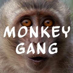 monkey gang