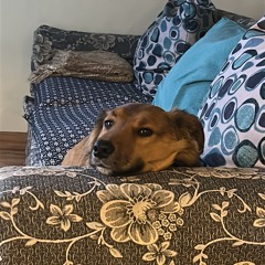 DRAAAAMA BEAT VENTA.mp3