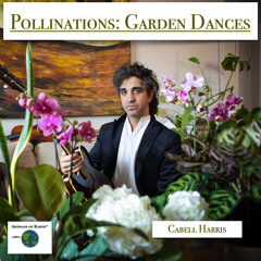 Moderato I, Dance of Pollination