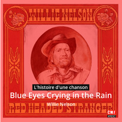 Histoire d'une chanson:   Blue Eyes Crying in the Rain  par  Willie Nelson
