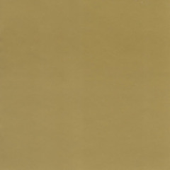 Duel Overhead Cam (Gold Album Version)