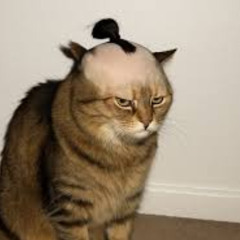 Seppuku (Iscah Demo 2026)