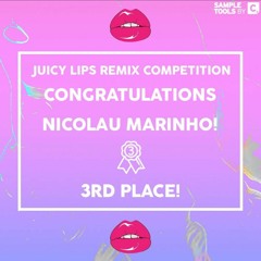 Piem & Richard Ulh (ft. Mikey V) - 'Juicy Lips' (Nicolau Marinho Remix)