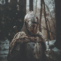 Wooked - through the blood (hxlfghoul remix)