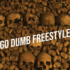 LIL ARVI - GO DUMB FREESTYLE