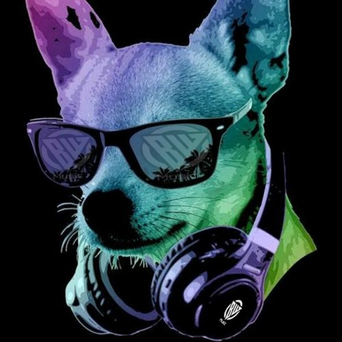 b.w flock in the pool tech e deep house #4