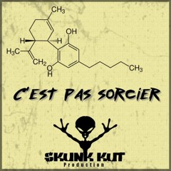 Skunk Kut - C Est Pas Sorcier (Psiloshock Ft. Blondi Remix )