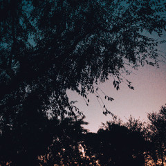 Phoebe Bridgers - Smoke Signals (lofi house flip)