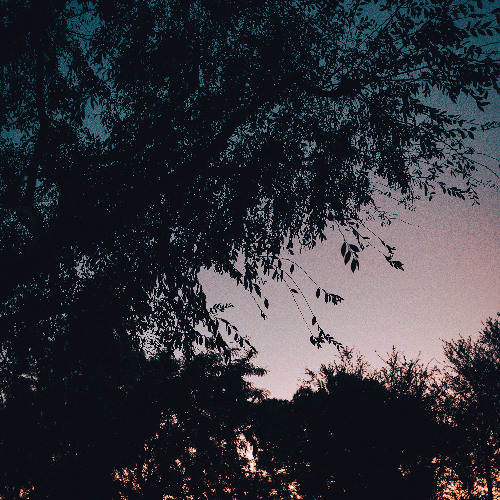 Phoebe Bridgers - Smoke Signals (lofi house flip)