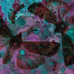 Premiere : Barut - Venicse (Bandcamp exclusive)