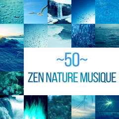 50 Zen nature musique - Bruits d'océan, Oiseaux, Forêt, Jardin, Grillons, Chute d'eau, Pluie, Went, Rivière, Vagues de mer, Feu