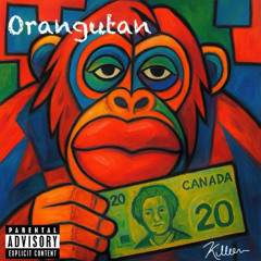 Orangutan