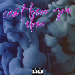 CANT LEAVE YOU ALONE
