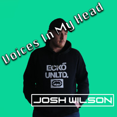 Voices in My Head (Josh Wilson Mashup)