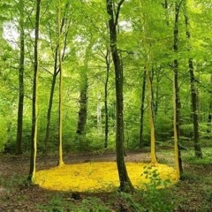 Kleiner Ausflug in die Natur