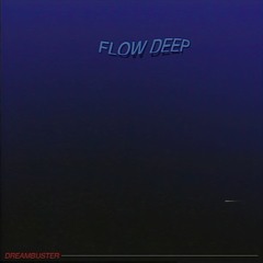Flow Deep