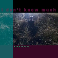 I Don't Know Much - feat: Cassidy