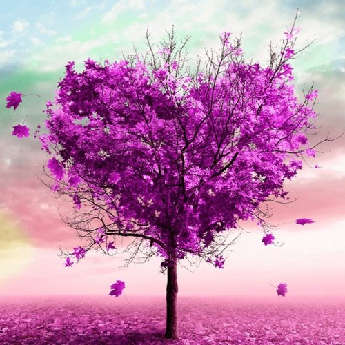 🎵MIXSET: THE DEEP LOVE 💗