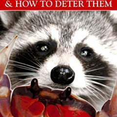 free PDF 💕 Understanding Raccoons and How to Deter Them: Raccoon Proof by  R. Odec [