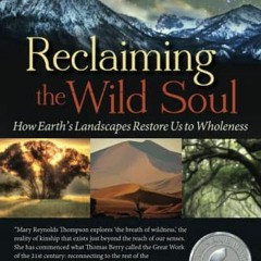 [View] KINDLE 📌 Reclaiming the Wild Soul: How Earth’s Landscapes Restore Us to Whole