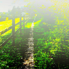 StrollThrough