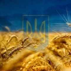 Андрій Ліпінський - Білосніжна фата