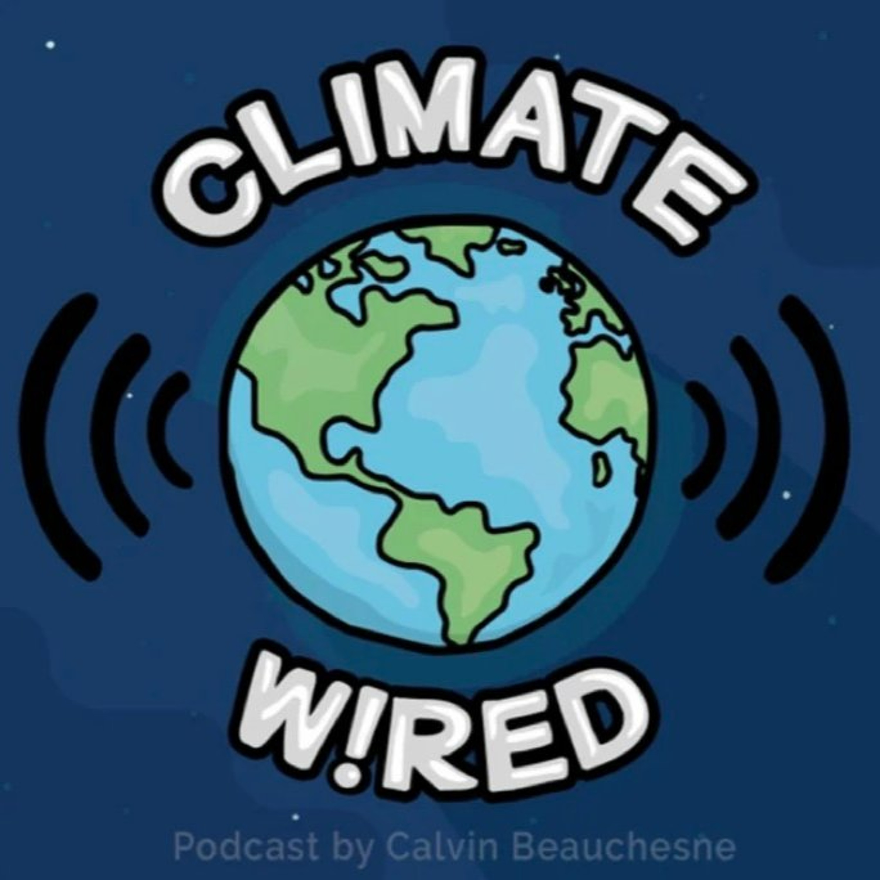 Old Growth Forests as Climate Defence episode artwork