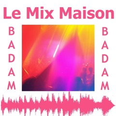 BADAM-LMM-Xavalex-2024-09-02