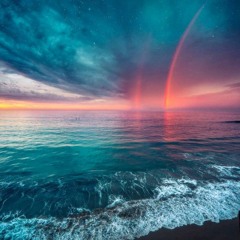 Payin' Top Dolla - Veritate