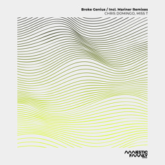 Broke Genius (Mariner Remix)