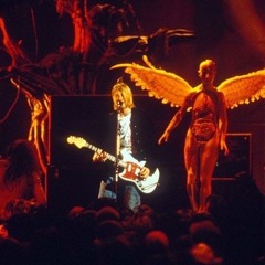 Heart Shaped Box - Nirvana/ small cover