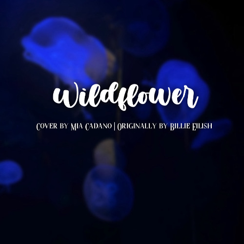 Wildflower - Cover by Mia Cadano | Originally by Billie Eilish