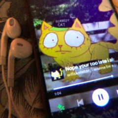 Questionnaire (Inspired by WiFiskeleton)