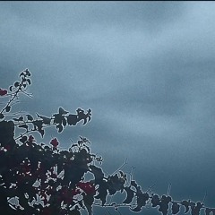 Aria Instrumental 2 (1).mp3