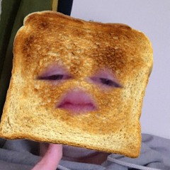 THE TOAST - OL LEE(FDL)