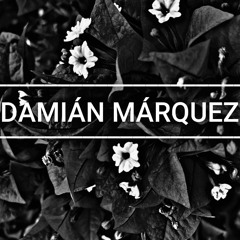 HOUSE SET (DAMIAN MARQUEZ DJ SET)