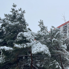 영지, 래원 - 멋진헛간