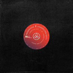 Unexpected Gift (Abel Remix)