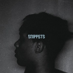 snippet