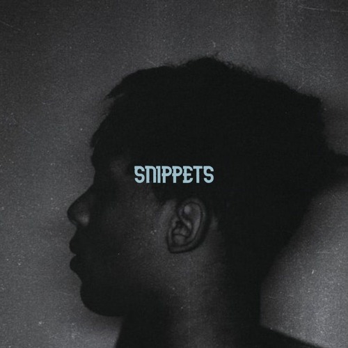 snippet