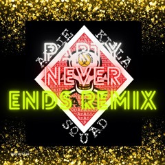 Party Never Ends (remix)
