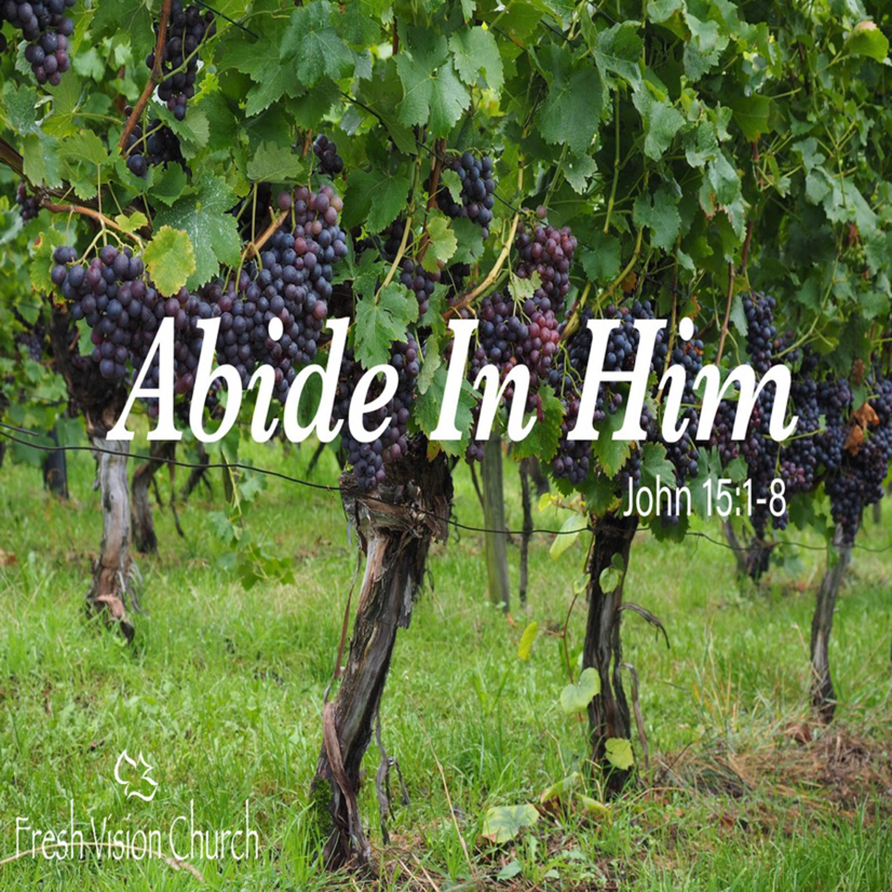 Fresh Vision Calvary Chapel