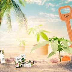 ℜ𝔢𝔱𝔯𝔬𝔰𝔲𝔪𝔪𝔢𝔯