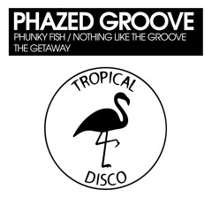 Phazed Groove - Nothing Like The Groove
